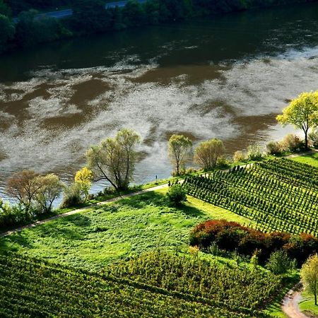 Weingut Helmut Barzen Apartment เซลล์อันแดร์โมเซล ภายนอก รูปภาพ