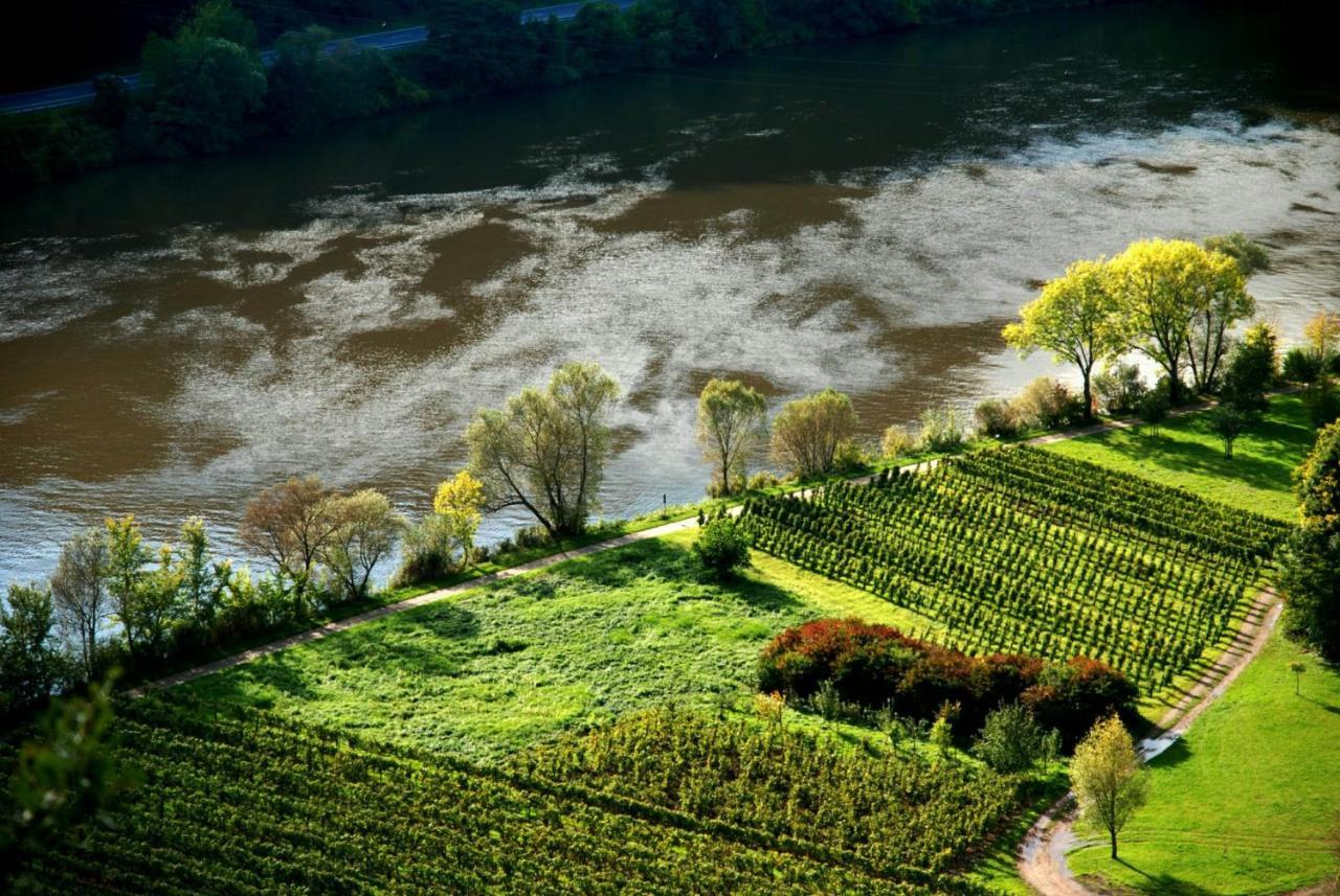 Weingut Helmut Barzen Apartment เซลล์อันแดร์โมเซล ภายนอก รูปภาพ