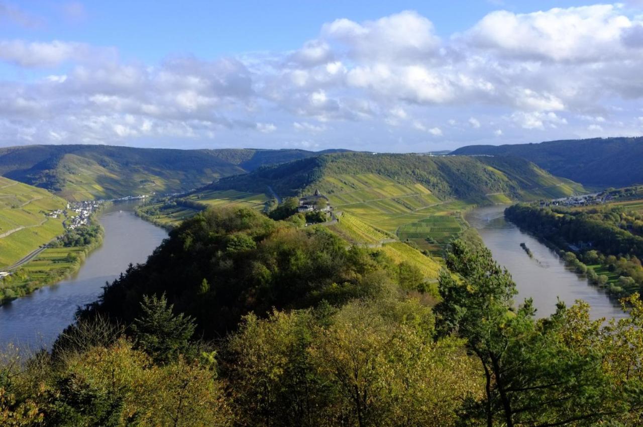 Weingut Helmut Barzen Apartment เซลล์อันแดร์โมเซล ภายนอก รูปภาพ